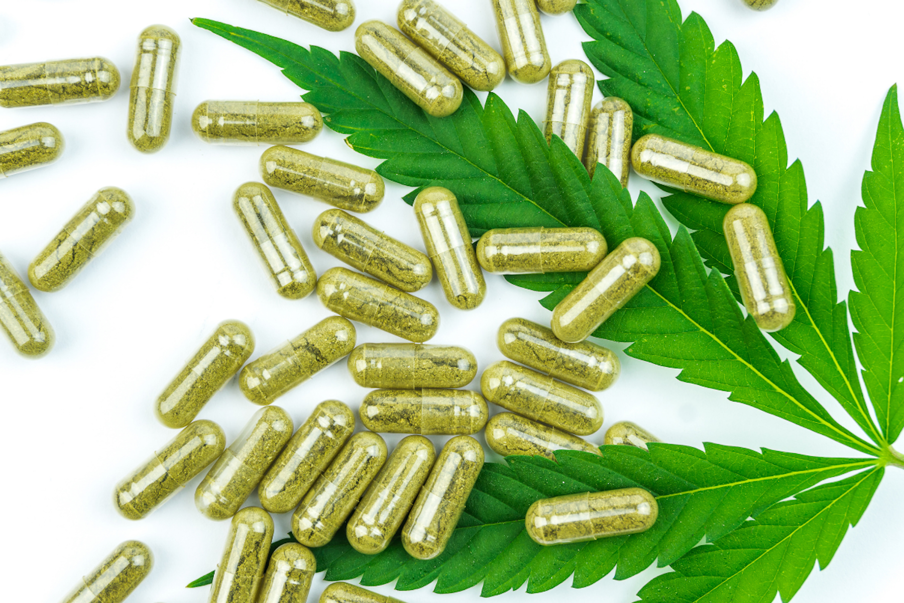 Detailed Study On The Buy CBD Tablets